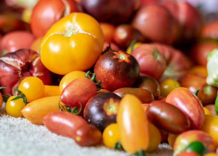 color photo with autumn vegetables on the table, different colors, shapes and types of vegetables prepared for home canning, vegetable fragments, autumn harvest timeの写真素材