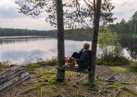 silhouette of a sitting woman on a bench by the bog lake, small mushroom basket in her hands, bog lake landscape, autumn timeの写真素材