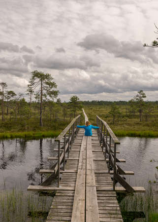 landscape in the summer swamp. woman in a blue jacket on a wooden bridge. bog pond. bog background and vegetation. white clouds. small swamp pinesの写真素材