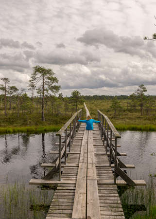 landscape in the summer swamp. woman in a blue jacket on a wooden bridge. bog pond. bog background and vegetation. white clouds. small swamp pinesの写真素材