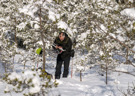 man walks in snowshoes in the swamp, sunny and cold weather, perfect snow conditions, winter wonderland in the swamp, powdery snow covers the plants of the swamp, Latvian winterの写真素材