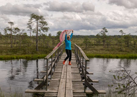 landscape in the summer swamp. woman in a blue jacket on a wooden bridge. bog pond. bog background and vegetation. white clouds. small swamp pinesの写真素材