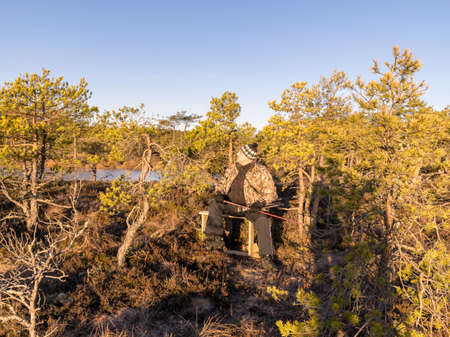 human figure in camouflage costume in swamp, sunny morningの写真素材