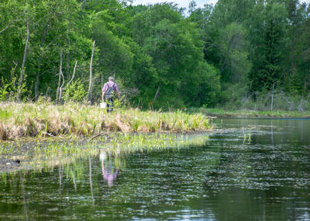 summer landscape with a fisherman 's silhouette on the lake shoreの写真素材