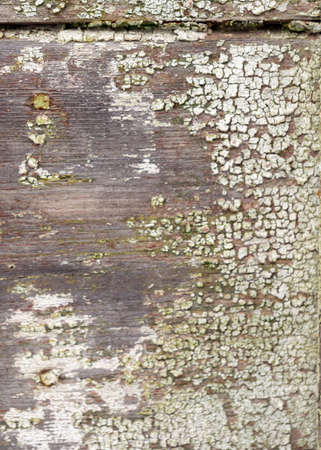 abstract image with old color texture on old wooden board wall, beautiful texture, wallpaperの写真素材