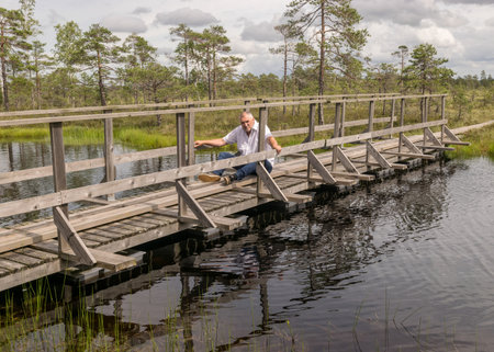 landscape in the summer swamp. a man in a white shirt sits on a wooden bridge. bog pond. bog background and vegetationの写真素材