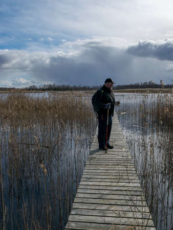 landscape with a human figure on a wooden pedestrian footbridge in a swamp, traditional swamp vegetation backgroundの写真素材