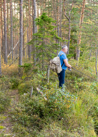 angler with a fishing rod on the shore of a bog lake, swamp characteristic plant vegetation, pine forest on the shore of the lake, autumnの写真素材