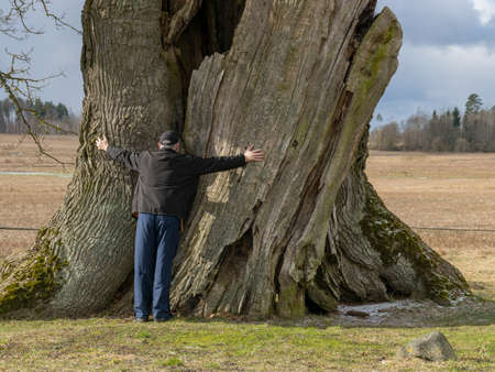 man by a big old oak, spring landscape, Kanepju big oak, Jerceni, Strencu county, Latvia