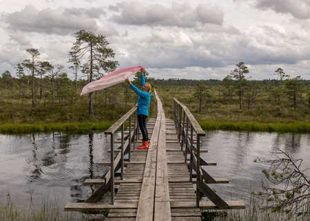 landscape in the summer swamp. woman in a blue jacket on a wooden bridge. bog pond. bog background and vegetation. white clouds. small swamp pinesの写真素材