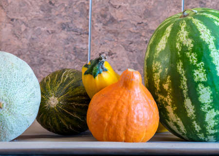 picture with pumpkin, zucchini, watermelon and melon, autumn harvest time, suitable for vegetarian dishes, vegetables for a healthy dietの写真素材