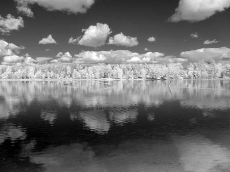 infrared surreal landscape with snowy trees, reflections of clouds and trees in the water, photographed with a modified infrared camera, infrared photographyの写真素材