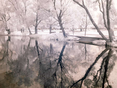 infrared surreal landscape with snowy trees, reflections of clouds and trees in the water, photographed with a modified infrared camera, infrared photographyの写真素材