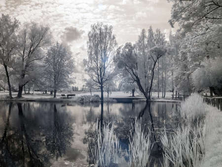 infrared surreal landscape with snowy trees, reflections of clouds and trees in the water, photographed with a modified infrared camera, infrared photographyの写真素材