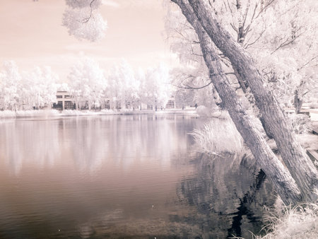 infrared surreal landscape with snowy trees, reflections of clouds and trees in the water, photographed with a modified infrared camera, infrared photographyの写真素材