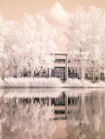 infrared surreal landscape with snowy trees, reflections of clouds and trees in the water, photographed with a modified infrared camera, infrared photographyの写真素材