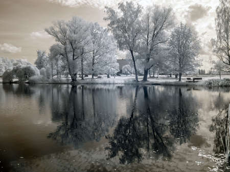 infrared surreal landscape with snowy trees, reflections of clouds and trees in the water, photographed with a modified infrared camera, infrared photographyの写真素材