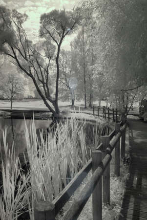 infrared surreal landscape, lake with wooden footbridge, infrared photo snowy tree amazing nature lake reflection, infrared photoの写真素材