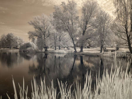 infrared surreal landscape with snowy trees, reflections of clouds and trees in the water, photographed with a modified infrared camera, infrared photographyの写真素材