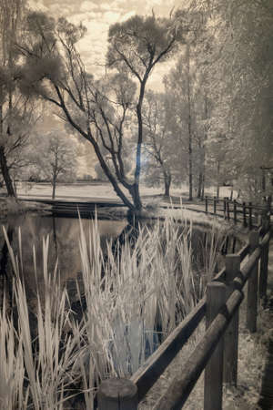 infrared surreal landscape, lake with wooden footbridge, infrared photo snowy tree amazing nature lake reflection, infrared photoの写真素材