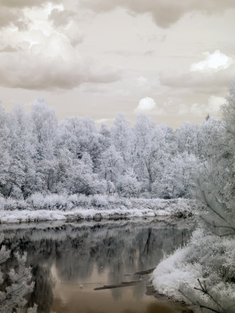 infrared surreal landscape with snowy trees, reflections of clouds and trees in the water, photographed with a modified infrared camera, infrared photographyの写真素材