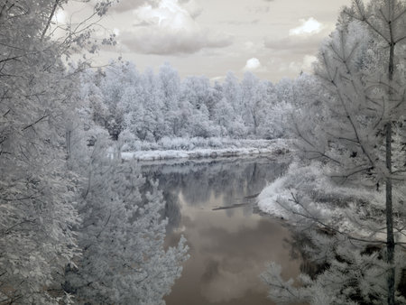 infrared surreal landscape with snowy trees, reflections of clouds and trees in the water, photographed with a modified infrared camera, infrared photographyの写真素材