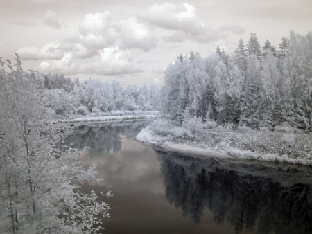 infrared surreal landscape with snowy trees, reflections of clouds and trees in the water, photographed with a modified infrared camera, infrared photographyの写真素材