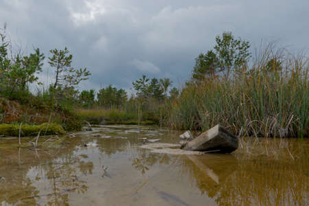 autumn landscape from the bog, small bog lake in the foreground, bog vegetation, moss, grass, lichens, Raganu swamp, Latviaの写真素材