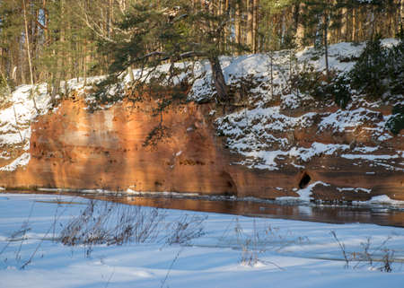 sunny winter landscape with red sandstone cliffs on the bank of the river Salaca, the sun shines on the trees and the river bank, the ice covers the river, Sarkanas clifts Latviaの写真素材