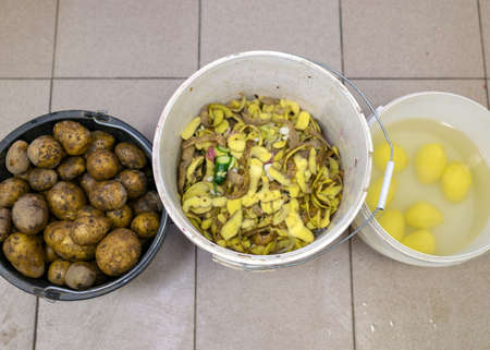 three dishes with potatoes, peeled potatoes, peeled and washed potatoes, cooking, kitchen