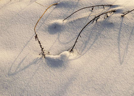 abstract snow texture, snow and frozen grass, shadows on the snow, winter timeの写真素材