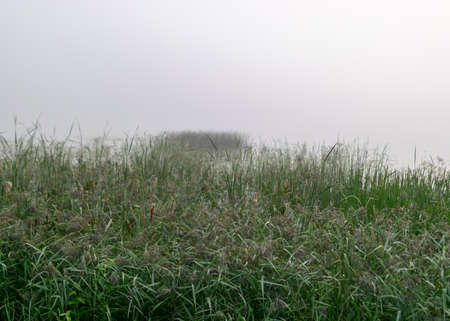 fog landscape, lake in the morning mist, blurred fog background, autumn timeの写真素材