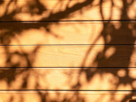 photo with wood texture and different shadowsの写真素材