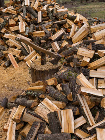 a landscape with a log of wood and an ax in the center, foreground and background of firewood