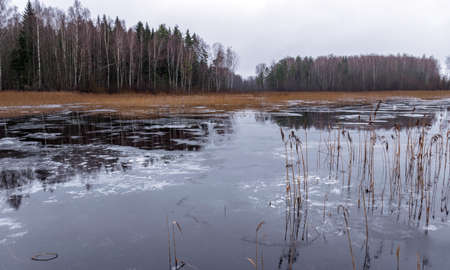 winter landscape with frozen lake, silhouettes of naked trees on the shores, water reflectionsの写真素材
