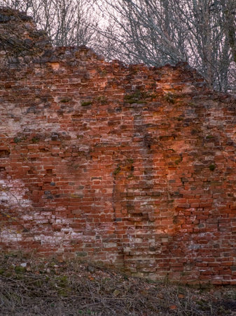 Ruined brick wall of a medieval castle, beautiful sunset colors in spring, Augstroze Castle Mound, Latviaの写真素材