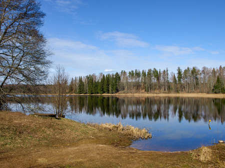 early spring landscape, forest in the background, lake in the foreground, blue skyの写真素材