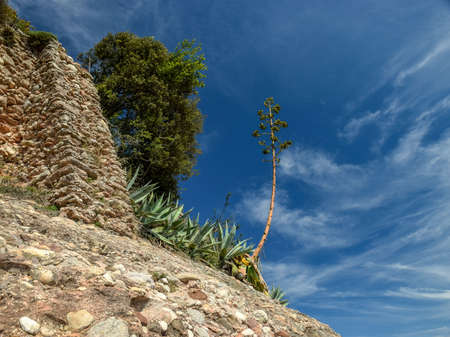 beautiful mountain landscape with bare cliffs, agave flower against blue skyの写真素材