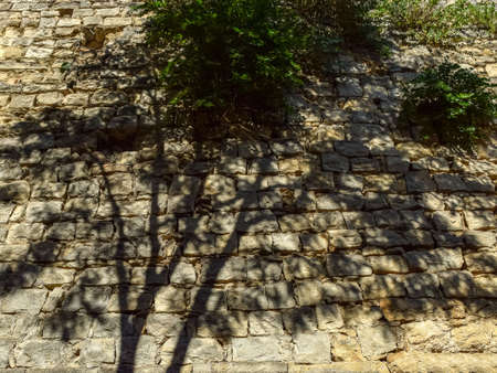 abstract wood shadow on stone wall, interesting textureの写真素材