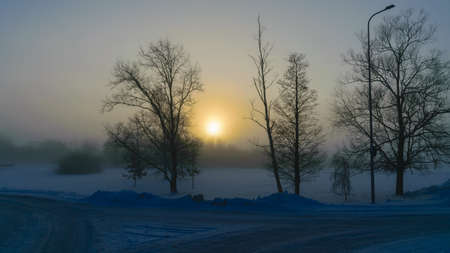 beautiful fog morning, sun through fog, silhouettes of trees and branches, winter landscape, blurred smoky fog backgroundの写真素材