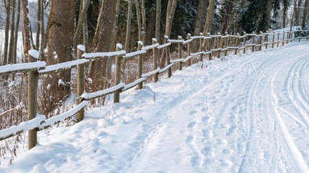 traditional winter landscape with snowy trees, white, snow-covered road, the magic of white winterの写真素材
