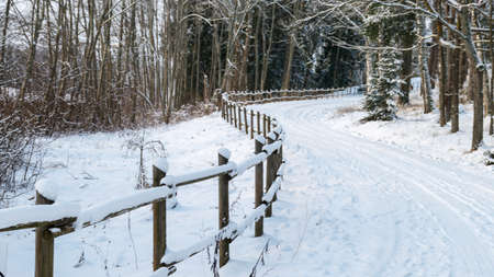 traditional winter landscape with snowy trees, white, snow-covered road, the magic of white winter