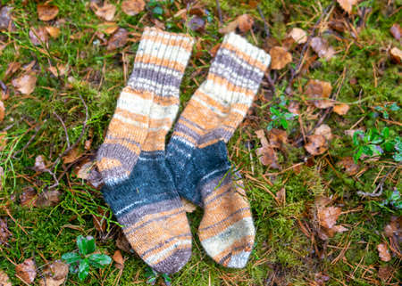 photography with knitted socks on a natural earth background, handicraft concept, knitting as a hobby, a good way to spend free time is handicraftsの写真素材