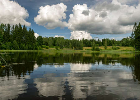 sunny summer landscape by the lake, trees and cumulus clouds reflect in the lake water, shore...