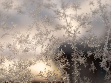 beautiful texture of ice flowers on glass, fragments of ice flower on blurred background