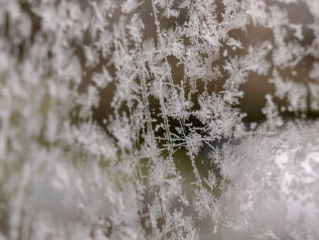 beautiful texture of ice flowers on glass, fragments of ice flower on blurred background