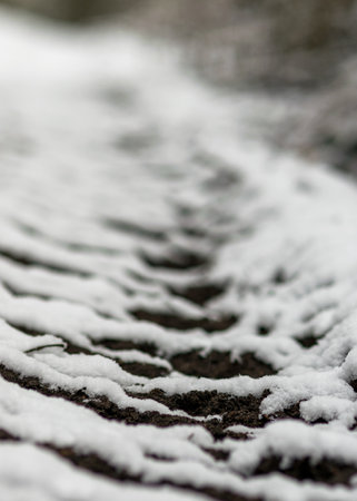 abstract texture, snow covered plants, winter feelings, winter texture suitable for wallpaper,...