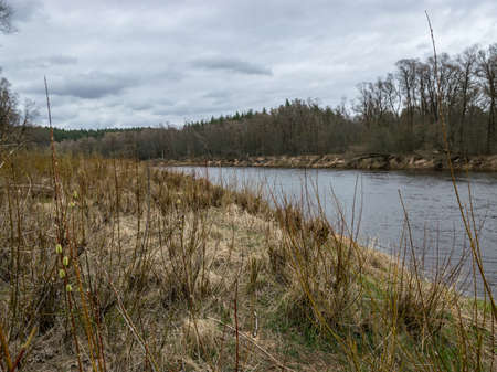 view of the river in early spring day, withered branches and old dry grass cover the river banks