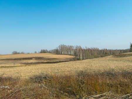 sunny spring landscape with countryside, early springの写真素材