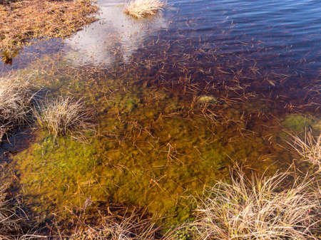 sky glare marsh lake, beautiful colors